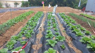 송월명님의 자유주제 · 건의해요 작성글 사진