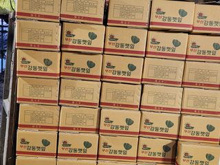 준영농장 출석왕.님의 기타작물 · 영농일지 작성글 사진