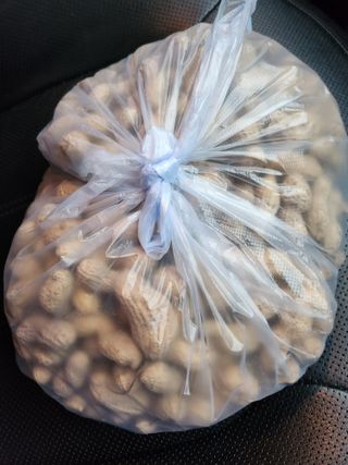 사랑으로님의 10월 농사 성적 자랑하기 · 참여글 작성글 사진