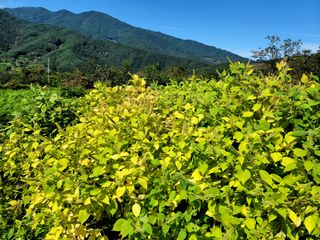 천지현황님의 10월 농사 성적 자랑하기 · 참여글 작성글 사진