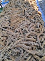 팜모닝 10월 농사 성적 자랑하기·참여글 게시글 이미지