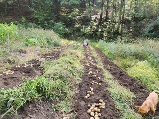 귀산촌님의 10월 농사 성적 자랑하기 · 참여글 작성글 사진