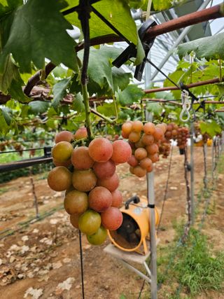 이재혁님의 작성글 사진
