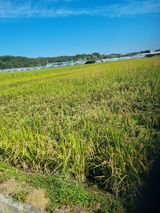 팜모닝 10월 농사 성적 자랑하기·참여글 게시글 이미지