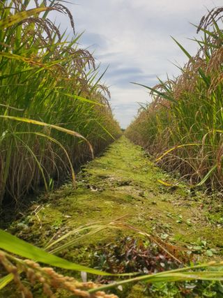 영인님의 10월 농사 성적 자랑하기 · 참여글 작성글 사진