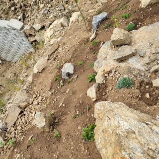 오정석님의 기타작물 · 영농일지 작성글 사진