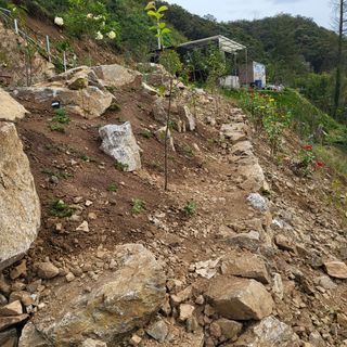 오정석님의 기타작물 · 영농일지 작성글 사진