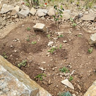 오정석님의 기타작물 · 영농일지 작성글 사진