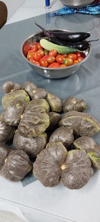 이일철 조이산골님의 고추 · 일상 작성글 사진