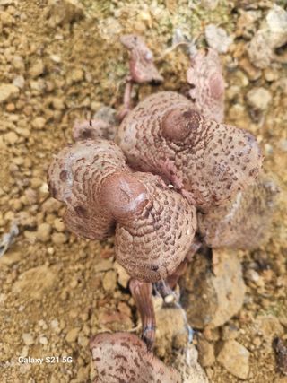 귀농대박님의 자유주제 · 자유게시판 작성글 사진