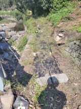 팜모닝 기타작물·병해충상담 게시글 이미지