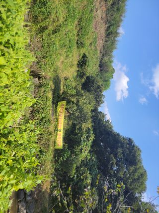 윤석돈님의 기타작물 · 병해충상담 작성글 사진