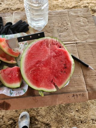 파이프님의 장터이야기 · 자유게시판 작성글 사진