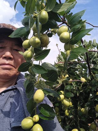 딸기8561님의 10월 농사 성적 자랑하기 · 참여글 작성글 사진