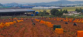 박우형님의 10월 농사 성적 자랑하기 · 참여글 작성글 사진