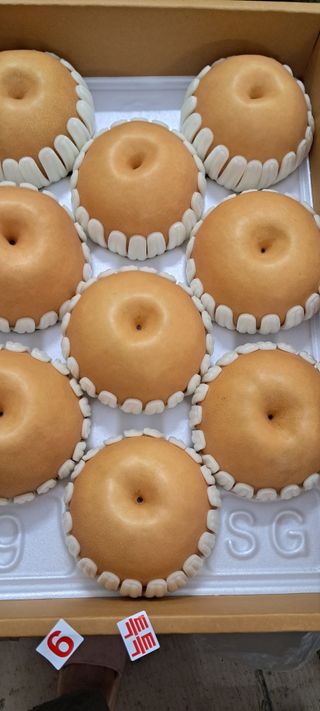 나는농사짓는영미다님의 10월 농사 성적 자랑하기 · 참여글 작성글 사진