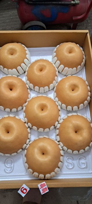 나는농사짓는영미다님의 10월 농사 성적 자랑하기 · 참여글 작성글 사진