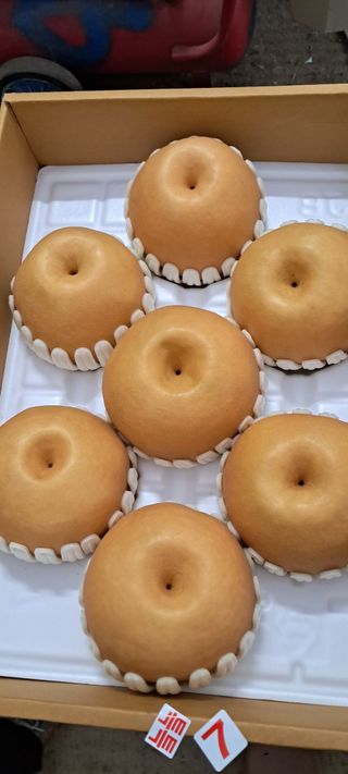 나는농사짓는영미다님의 10월 농사 성적 자랑하기 · 참여글 작성글 사진