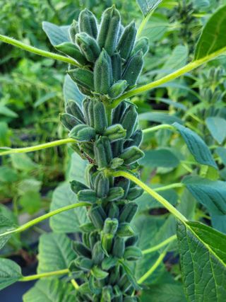 김응택님의 10월 농사 성적 자랑하기 · 참여글 작성글 사진