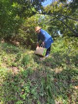 팜모닝 10월 농사 성적 자랑하기·참여글 게시글 이미지