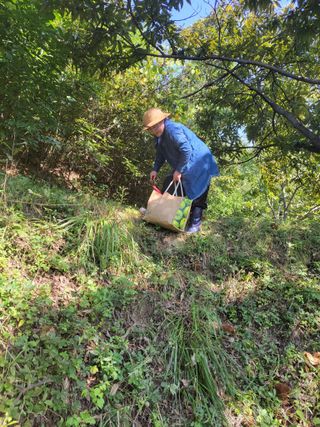윤석돈님의 10월 농사 성적 자랑하기 · 참여글 작성글 사진