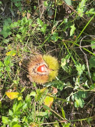 윤석돈님의 10월 농사 성적 자랑하기 · 참여글 작성글 사진