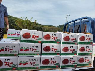 조현미님의 고구마 · 영농일지 작성글 사진