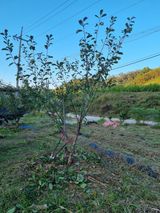 팜모닝 10월 농사 성적 자랑하기·참여글 게시글 이미지