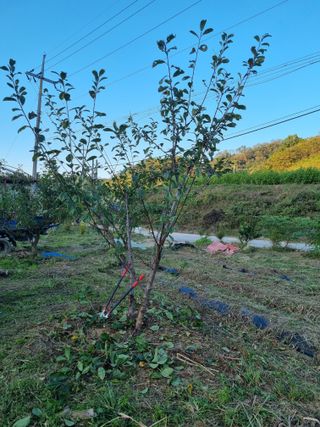 이천용님의 10월 농사 성적 자랑하기 · 참여글 작성글 사진