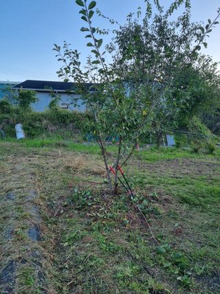 이천용님의 10월 농사 성적 자랑하기 · 참여글 작성글 사진