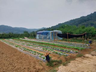 조위래님의 10월 농사 성적 자랑하기 · 참여글 작성글 사진