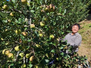 김상희님의 10월 농사 성적 자랑하기 · 참여글 작성글 사진