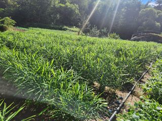 이상윤 님의 10월 농사 성적 자랑하기 · 참여글 작성글 사진