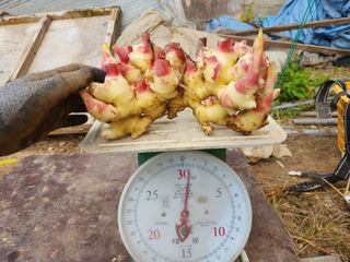 이상윤 님의 10월 농사 성적 자랑하기 · 참여글 작성글 사진