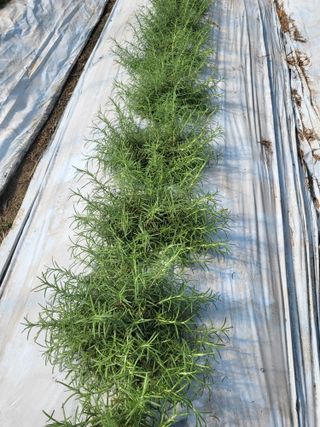 정동환님의 10월 농사 성적 자랑하기 · 참여글 작성글 사진