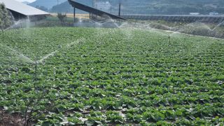 곽행남님의 10월 농사 성적 자랑하기 · 참여글 작성글 사진