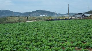 곽행남님의 10월 농사 성적 자랑하기 · 참여글 작성글 사진