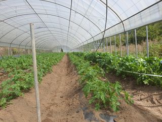 이정태님의 10월 농사 성적 자랑하기 · 참여글 작성글 사진