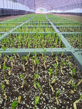 정지원님의 10월 농사 성적 자랑하기 · 참여글 작성글 사진