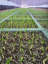 팜모닝 10월 농사 성적 자랑하기·참여글 게시글 이미지