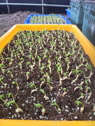 정지원님의 10월 농사 성적 자랑하기 · 참여글 작성글 사진