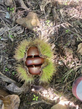 우경농원님의 10월 농사 성적 자랑하기 · 참여글 작성글 사진