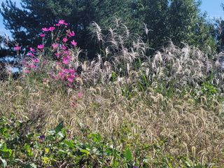 우경농원님의 10월 농사 성적 자랑하기 · 참여글 작성글 사진