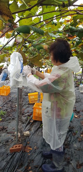 즐건형님의 10월 농사 성적 자랑하기 · 참여글 작성글 사진