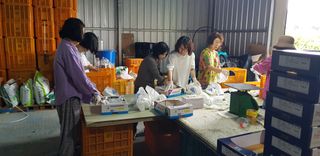 즐건형님의 10월 농사 성적 자랑하기 · 참여글 작성글 사진