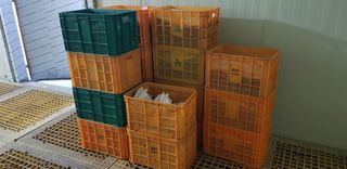 즐건형님의 10월 농사 성적 자랑하기 · 참여글 작성글 사진