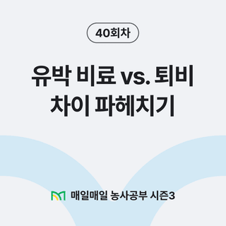 팜모닝 농사공부님의 매일매일 농사공부 · 매일매일 농사공부 작성글 사진