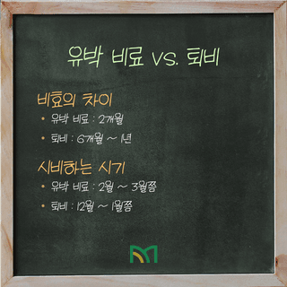 팜모닝 농사공부님의 매일매일 농사공부 · 매일매일 농사공부 작성글 사진