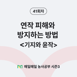 팜모닝 농사공부님의 매일매일 농사공부 · 매일매일 농사공부 작성글 사진