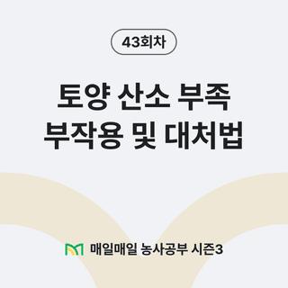팜모닝 농사공부님의 매일매일 농사공부 · 매일매일 농사공부 작성글 사진
